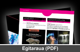 Durangoko azokako egitaraua