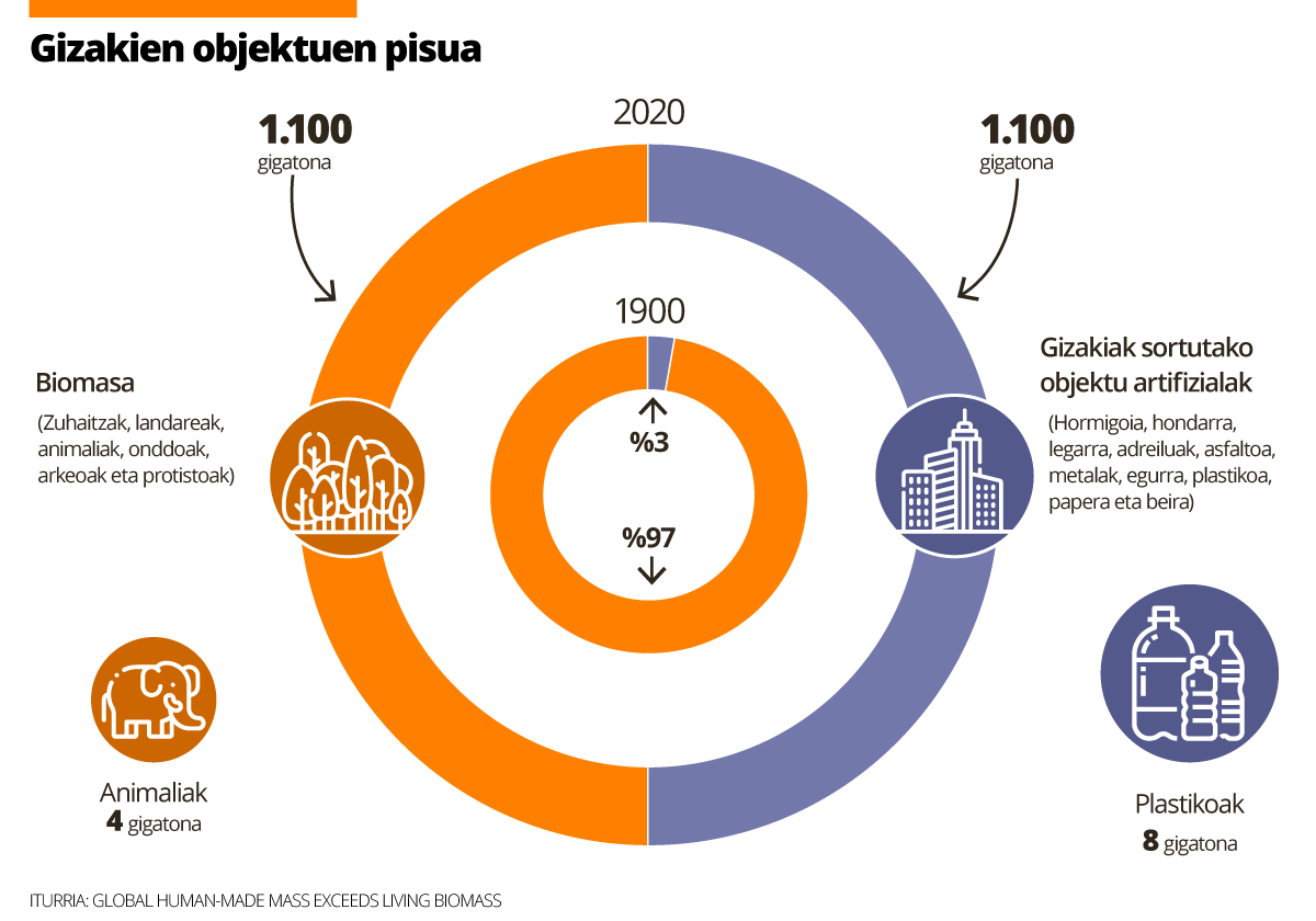 Gizakien objektuek gehiago pisatzen dute jadanik Lurreko biomasak baino