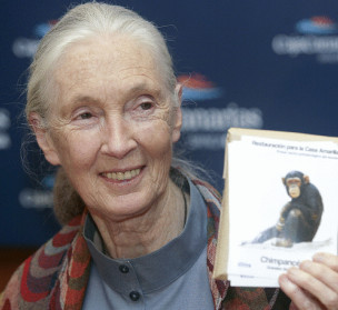 Jane Goodall zendu da, txinpantzeen lagun handia