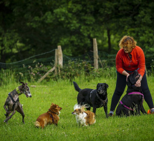 Txakurra ere bada familiako kidea