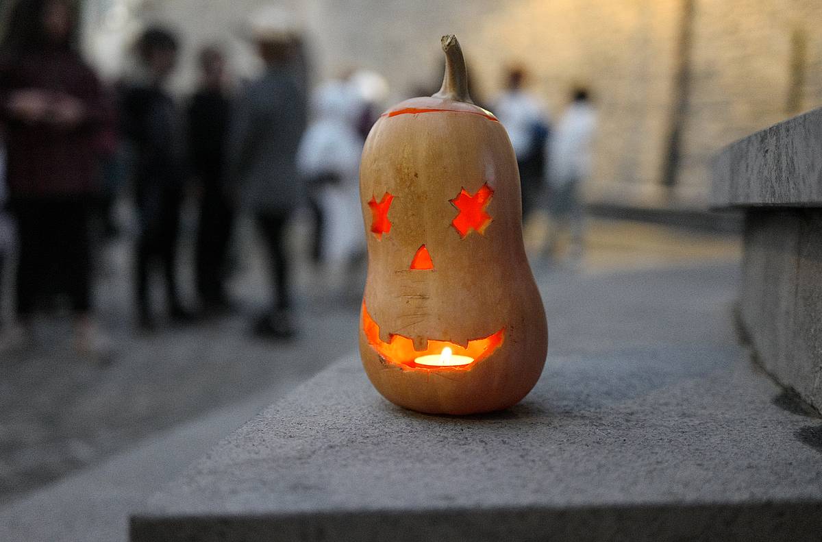 Gau Beltzaren loraldia