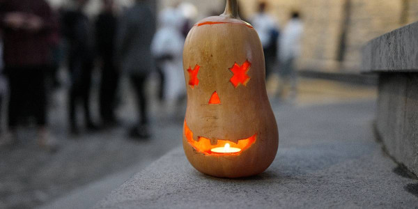 Gau Beltzaren loraldia