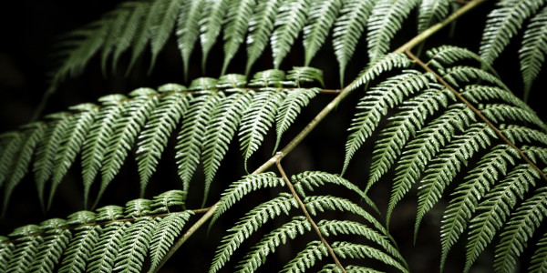 Geometria fraktala: errepikapena, infinituraino