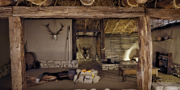 Irulegi herrixka nolakoa zen jakiteko erakusketa: 'Irulegitik Pompelora: hiri baten jatorriak'