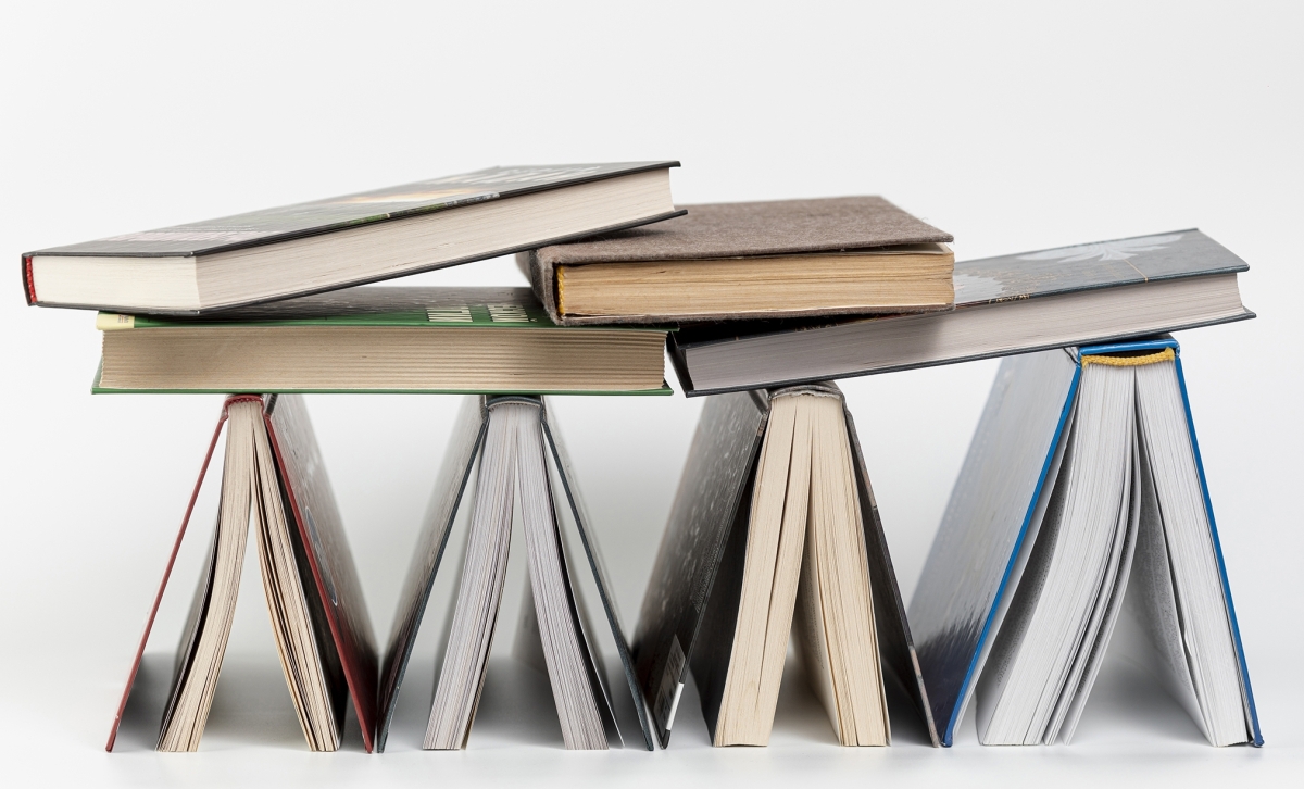 «Gure letretan ikusgaitasuna hartu dute literatur kanonetik at egon diren emakumeek»