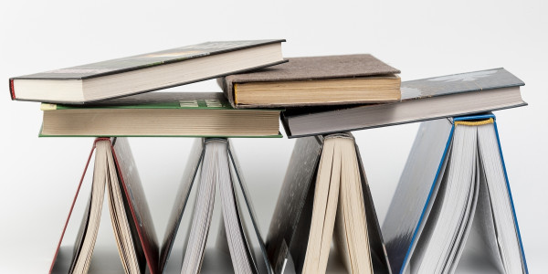 «Gure letretan ikusgaitasuna hartu dute literatur kanonetik at egon diren emakumeek»