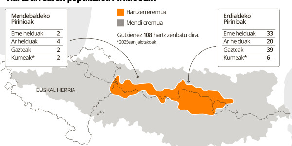 Pirinioetan 108 hartz daude, gutxienez; 3.200 lorratz baino gehiago aurkitu zituzten iaz