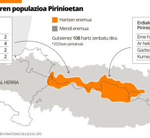 Pirinioetan 108 hartz daude, gutxienez; 3.200 lorratz baino gehiago aurkitu zituzten iaz