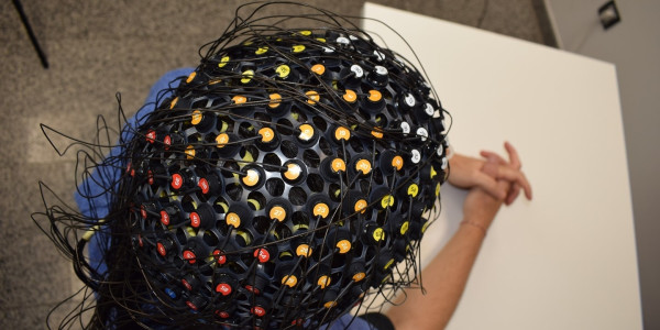 Nanopartikulak injektatuz, ehun neuronalean duten eragina monitorizatzea lortu dute