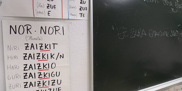 Hikaren erabilera, eskolaren bultzadaren bila