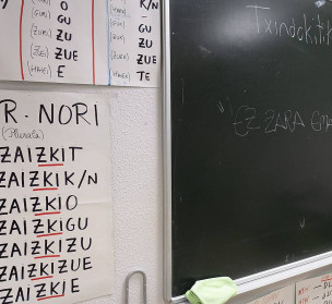 Hikaren erabilera, eskolaren bultzadaren bila