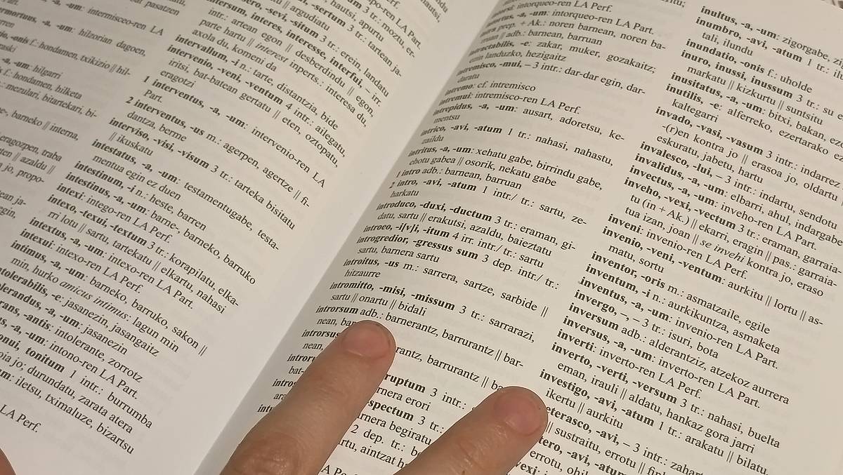Latina eta greziera hizkuntza klasikoak desagertzen ari dira hezkuntza curriculumetik