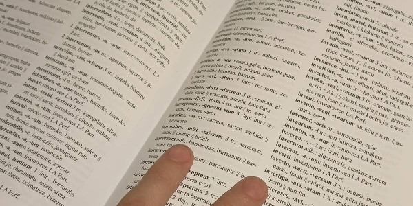 Latina eta greziera hizkuntza klasikoak desagertzen ari dira hezkuntza curriculumetik