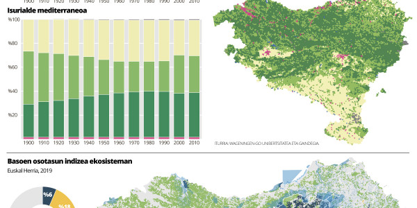 Basoak, larre eta landa lurrak baino gehiago