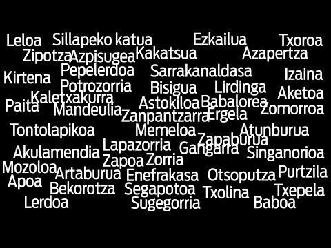 BerriaIkasgela