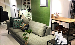 Nho Dekorazio Estudioa