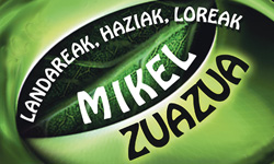 Mikel Zuazua Landareak