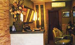 Apallu Ileapaindegia