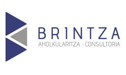 Brintza S.l.