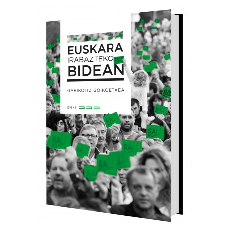 Euskara irabazteko bidean