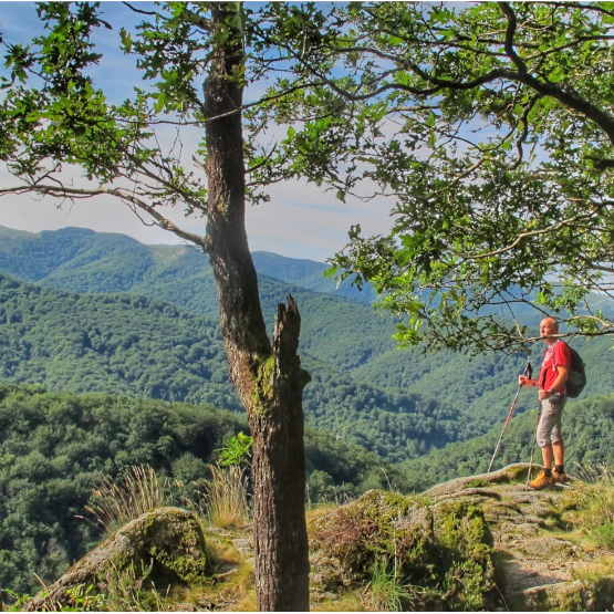 Artikutzako erraietan barrena