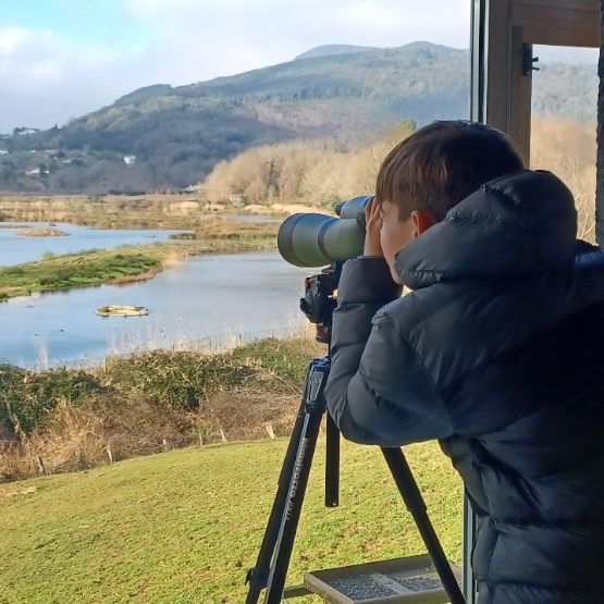 Bisita gidatua Urdaibai Bird Center-en, naturaren museo bizian