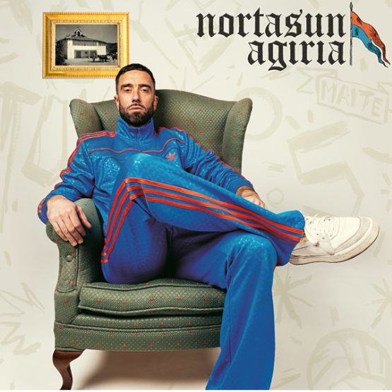 Nortasun agiria