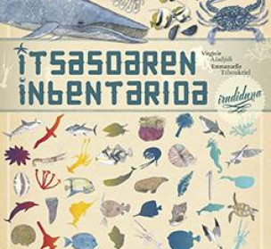 Itsasoaren inbentario irudiduna