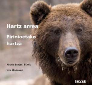 Hartz arrea. Pirinioetako hartza.