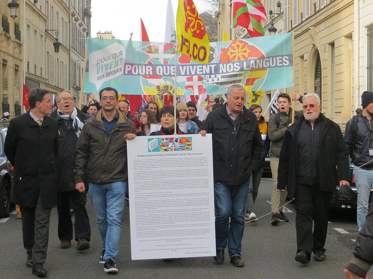 Eskoli sarekoen protesta, Parisen.