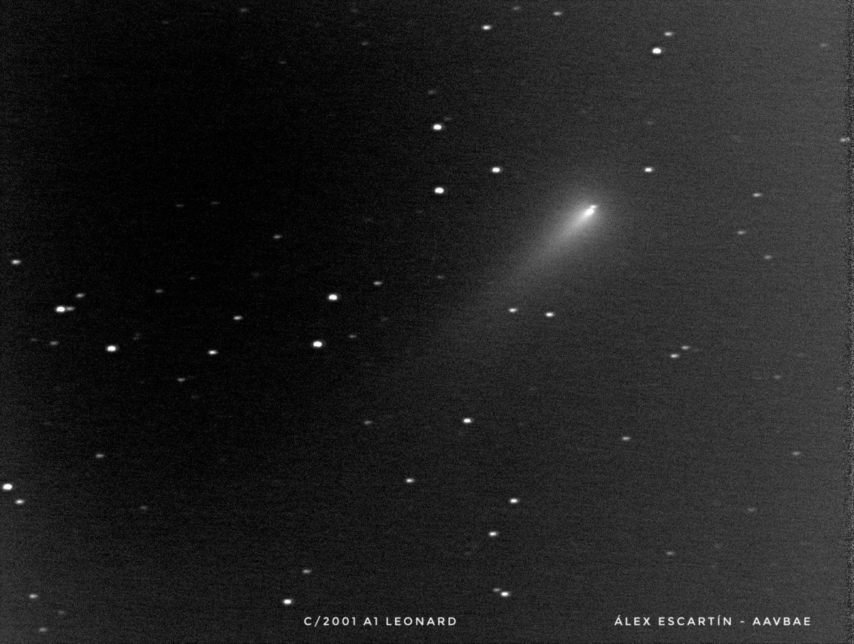 Leonad kometa, azaroaren 19an, Mungiatik ateratako argazkian. ALEX ESCARTIN