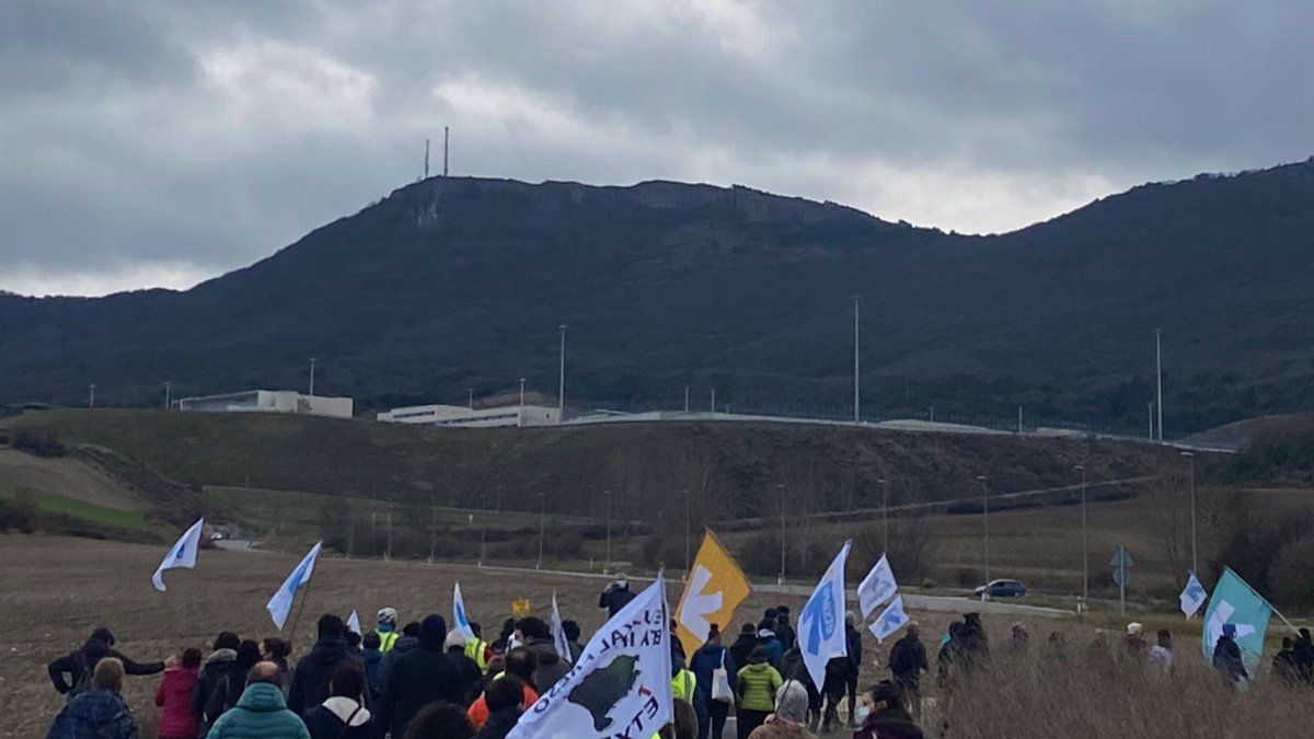 Zaballara bidean atera dute irudi bat. JOSU ESTARRONA