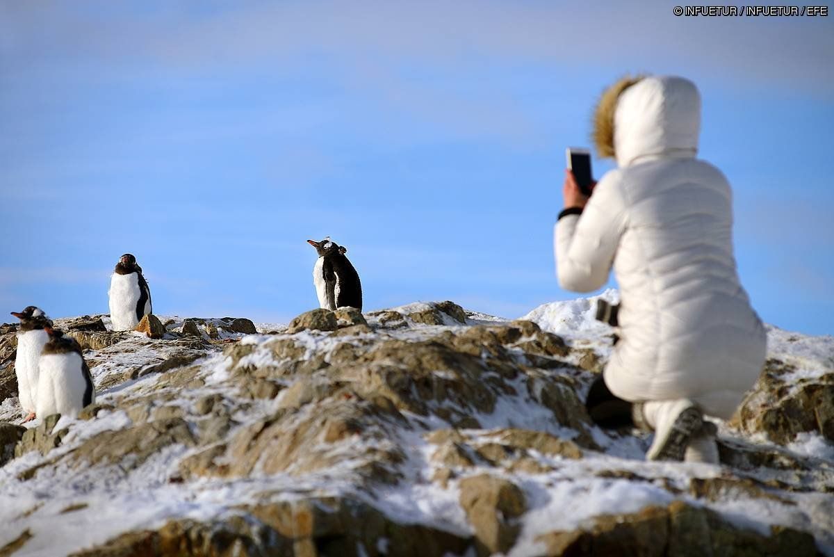 Turista bat, pinguinoak ikusten, Antartikan. INFUETUR