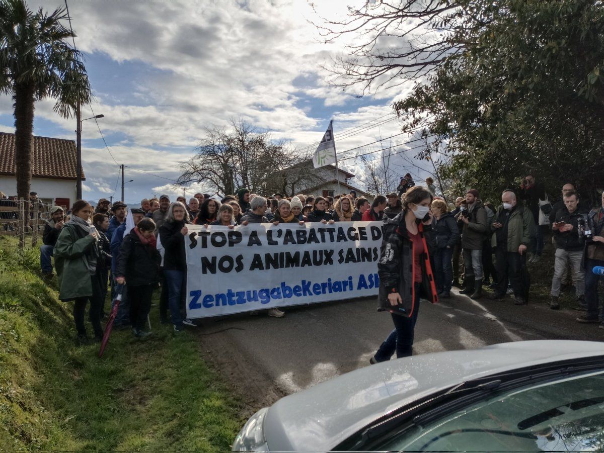 'Herri harresia' osatu dute Ilharren, ahate hiltze bat eragozteko. @EKHIERREMUNDEGI