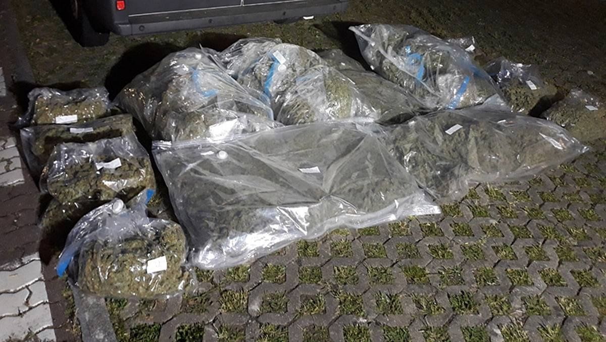 Ertzaintzak atzemandako marihuana. IREKIA