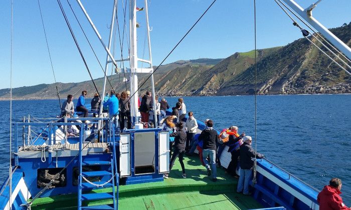 Mater itsasontzian, Jaizkibelgo itsaslabarrei begira. OARSOALDEA TURISMOA