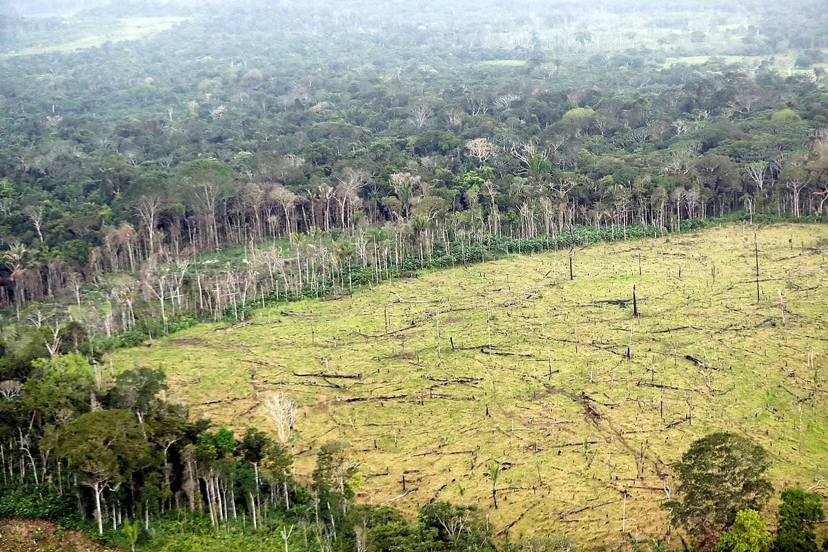 Kolonbiako eremu deforestatu bat. MAURICIO DUEñAS CASTAñEDA, EFE