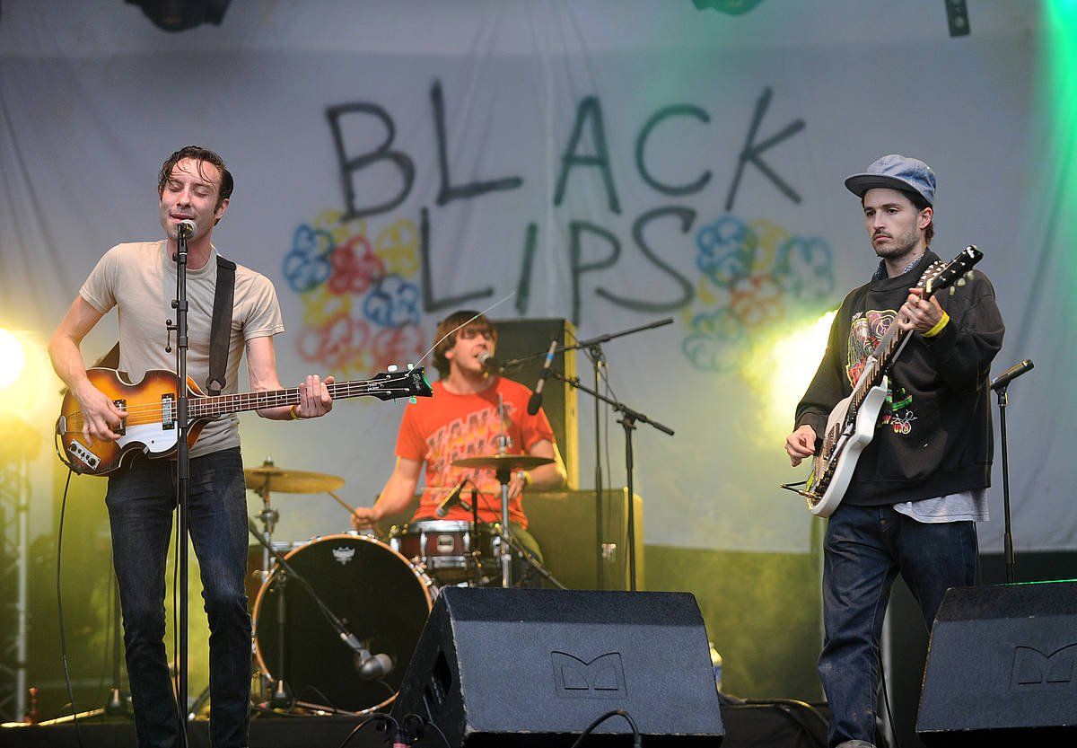 Black Lips taldea, 2013ko EHZ jaialdian, Lekornen (Lapurdi). GAIZKA IROZ