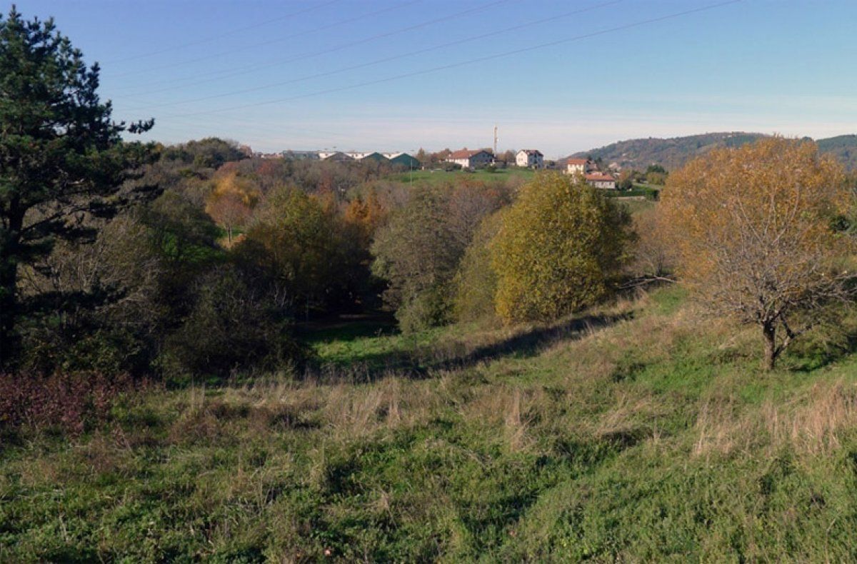 jarraia226174.jpg