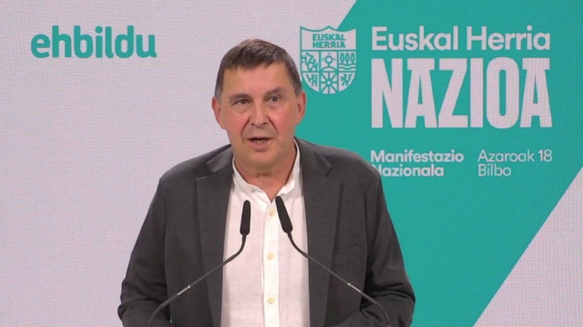 EH Bilduko koordinatzaile nagusi Arnaldo Otegi, gaur. BERRIA