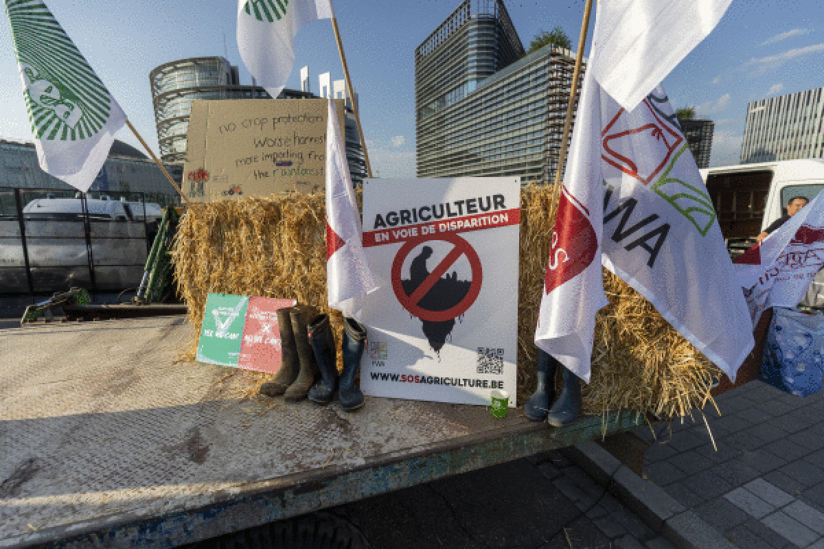 Natura Leheneratzeko legearen aurkako manifestazio bat, uztailean, Europako Parlamentuaren aurrean, Estrasburgon (Frantzia). JULIEN WARNAND / EFE