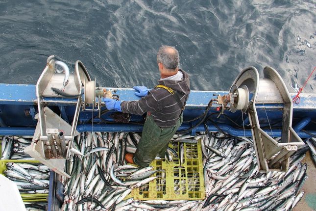 Itoitz-eko arrantzaleak berdelak harrapatzen. ARGAZKIAK: IBON ETA JON FERNANDEZ.