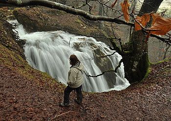 Toberiako ur-jauziak. Toberiako ur-jauziak.