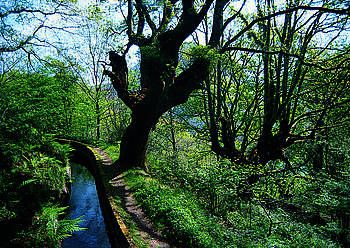 Artikutzako paraje ezkutua. Artikutzako paraje ezkutua.