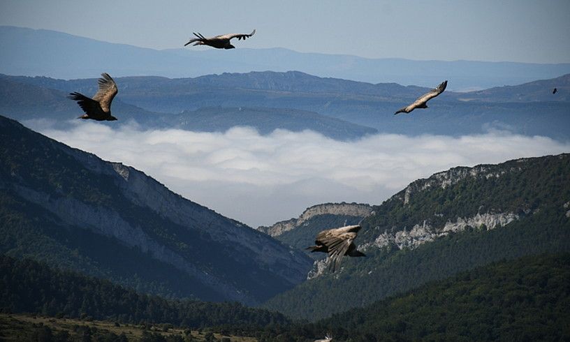 Recuenco, udazkeneko mendia.