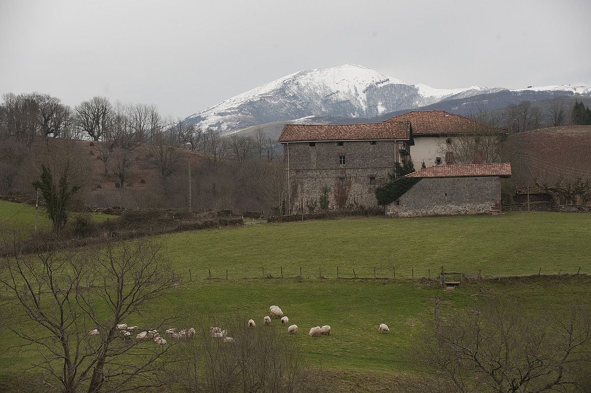 Aroztegia Jauregia SM enpresak bere proiektua egin nahi duen eremua, Lekarozen. ANDONI CANELLADA / ARGAZKI PRESS.