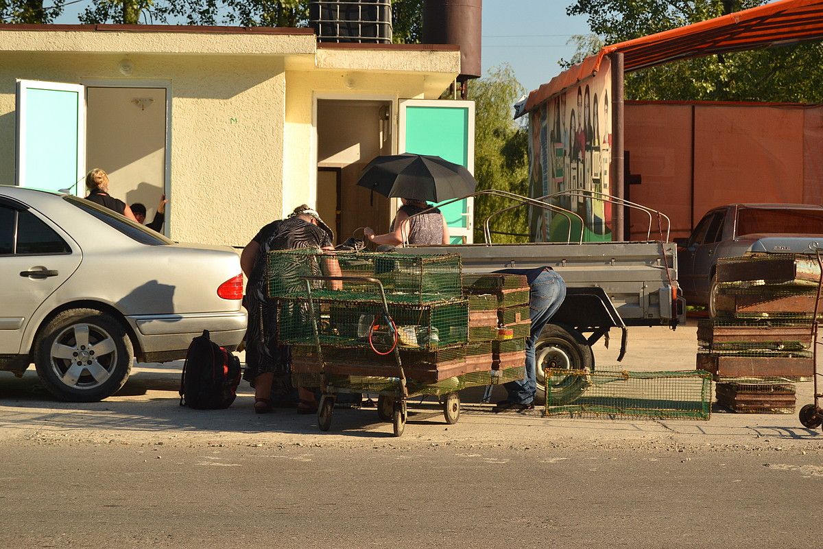 Mingreliar fruta saltzaileak, Galgo mugaldeko eremuan. IBAI TREBIÑO.