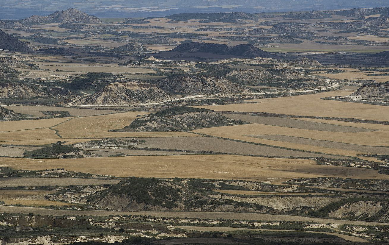 Desertifikazioak kinka larrian jar dezake planetaren bioaniztasuna; irudian, Bardeako paraje idorrak. J.MANTEROLA / ARP. Desertifikazioak kinka larrian jar dezake planetaren bioaniztasuna; irudian, Bardeako paraje idorrak. J.MANTEROLA / ARP.