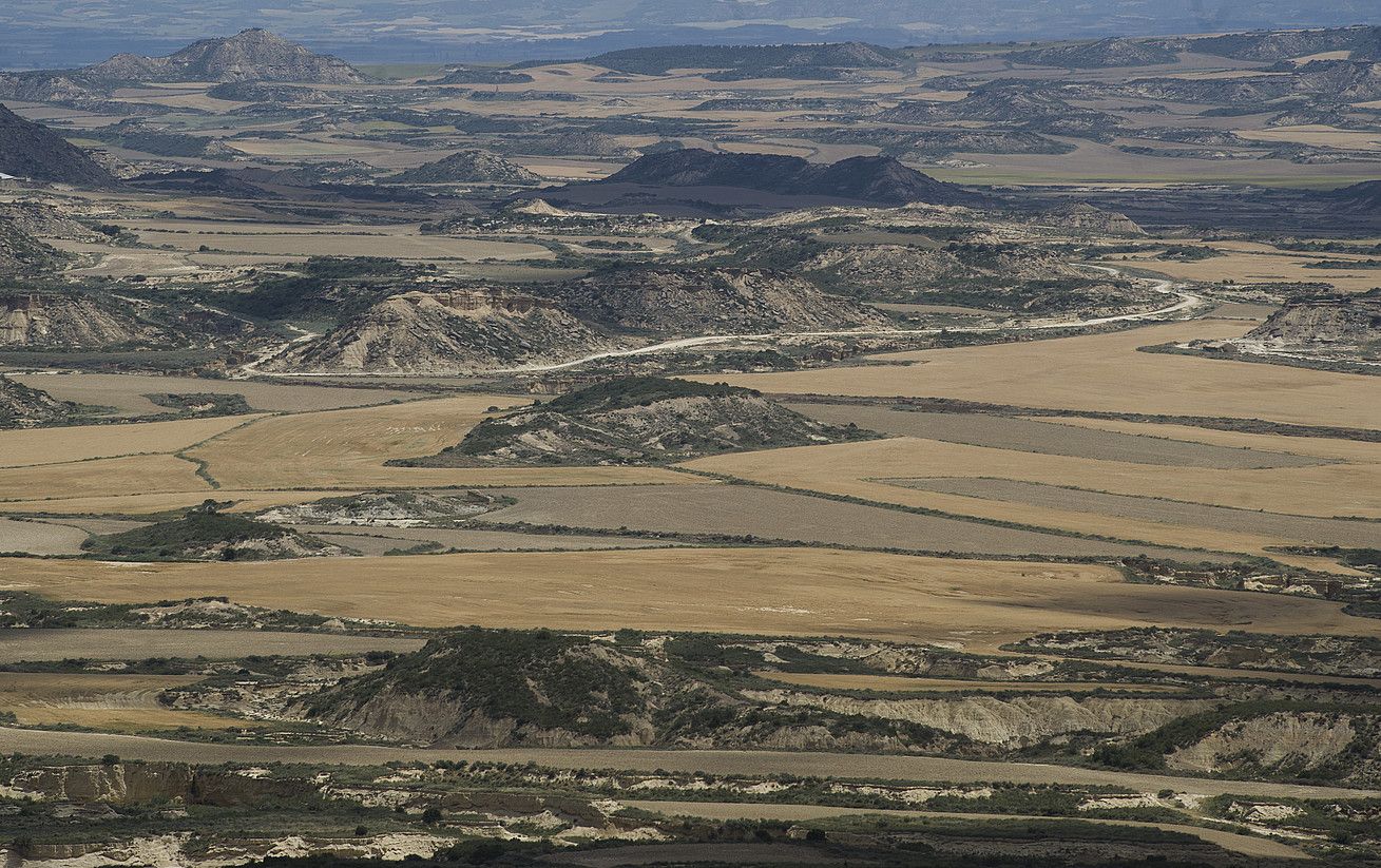 Desertifikazioak kinka larrian jar dezake planetaren bioaniztasuna; irudian, Bardeako paraje idorrak. J.MANTEROLA / ARP.