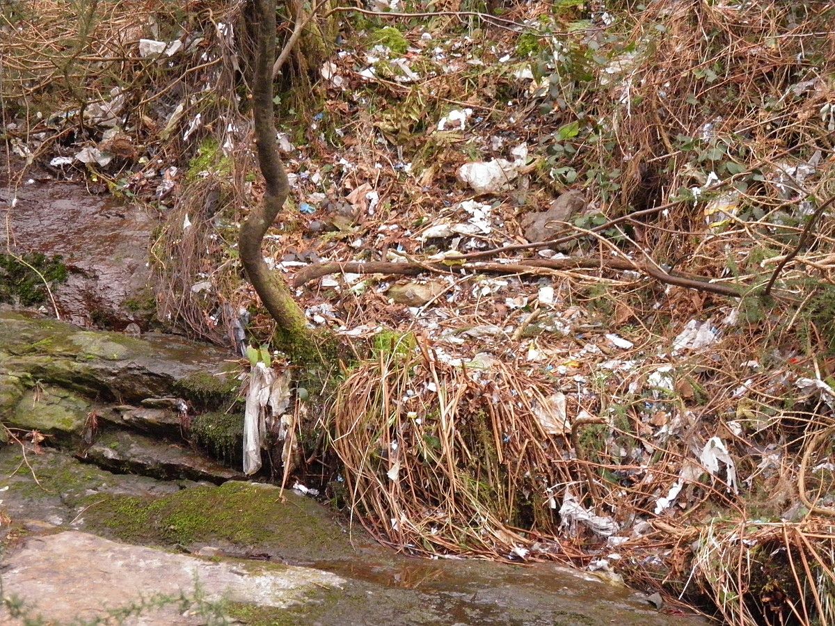 Errekastoaren ingurua jadanik ez dago plastiko osoek estalia, baina txikitu diren milaka plastiko zatiek inguruan jarraitzen dute. AITZIBER LASKIBAR LIZARRIBAR. Errekastoaren ingurua jadanik ez dago plastiko osoek estalia, baina txikitu diren milaka plastiko zatiek inguruan jarraitzen dute. AITZIBER LASKIBAR LIZARRIBAR.